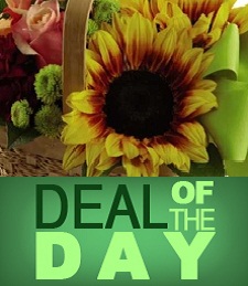 Flower Deal of the Day